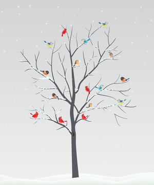 Cute birds with tree branch on winter scene