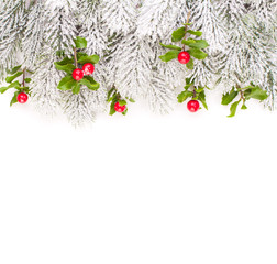 Fototapeta na wymiar Christmas border with green Xmas tree twig and holly berries and leaves
