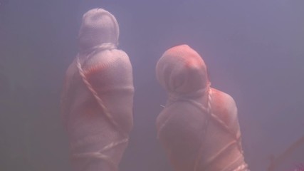 Two drowned bodies wrapped in cloth and tied to a stone at the bottom of the lake to hide traces of crime, close-up in troubled waters.Blood appeared on the tissue at the sites of injury