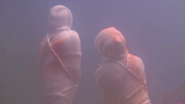 Two drowned bodies wrapped in cloth and tied to a stone at the bottom of the lake to hide traces of crime, close-up in troubled waters.Blood appeared on the tissue at the sites of injury