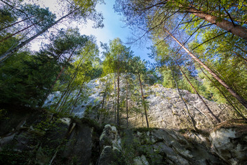 Skalne Miasto Adrspach w Czechach