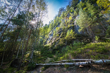 Fototapeta premium Skalne Miasto Adrspach w Czechach
