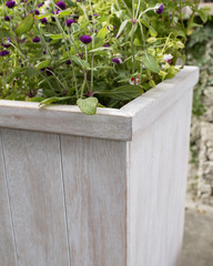 The wood flowerpot with flower in the backyard.