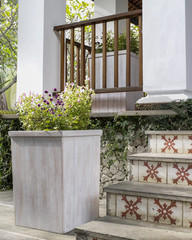 The wood flowerpot with flower in the backyard.