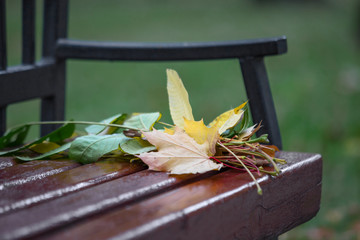 Modest bouquet of autumn leaves, forgotten on a bench in the city Park. Autumn story.