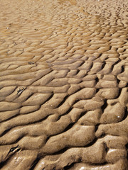 détail de plage - sable humide