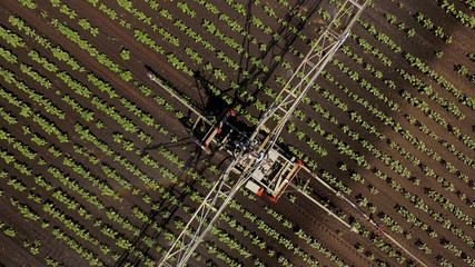 potato field irrigated by a pivot sprinkler system