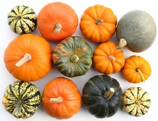 Squash and pumpkins.