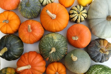 Squash and pumpkins.