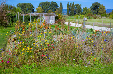 They still exist: in a world full of increasing human order and cold rational architecture, a simple garden with wild flowers and wooden sheds seems almost paradisiac. Lake Constance region.