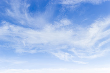 sky with blue and white cloud flufy