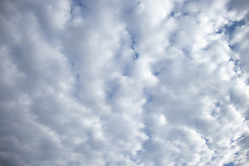 Obraz premium pustynia