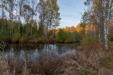 View of the river and wooded banks in autumn evening