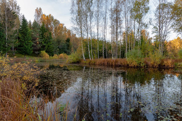 Fototapeta premium View of the river and wooded banks in autumn evening