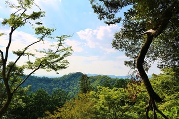 風景　秋　空　木　唐沢山　杤木　日本