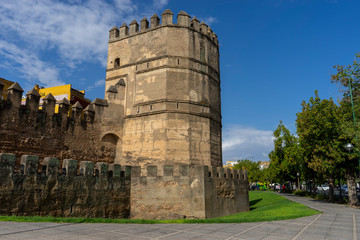 Fototapeta na wymiar Muralla almohade de la ciudad de Sevilla, España