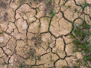 Dry cracked earth background, clay desert texture