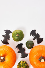 Pumpkins and bats on white  background