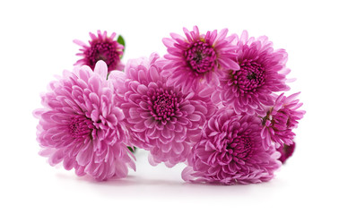 Bouquet of chrysanthemums.