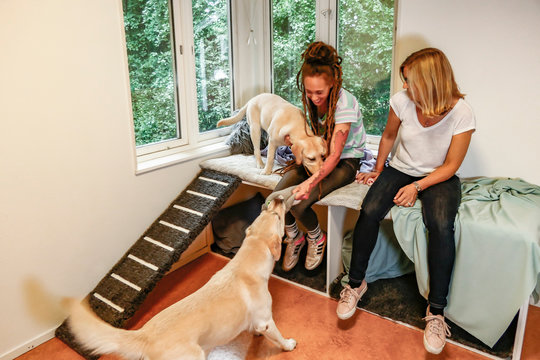 Stockholm, Sweden A daycare center for dogs and their trainers or keepers,