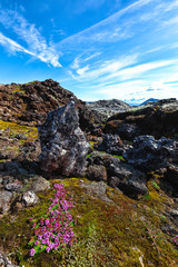Frozen lavas field in the geothermal valley Leirhnjukur, near Krafla volcano.