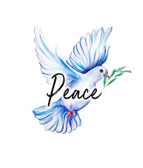 Beautiful sketch dove bird art