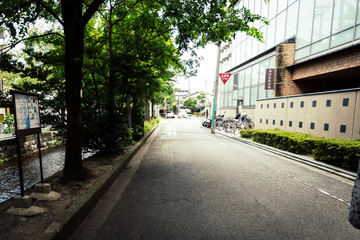 Road in Japan