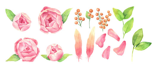 A set of floral elements, isolated object on the white background. Watercolor hand drawn peony, leaves, bird feathers, branch of berries and petals