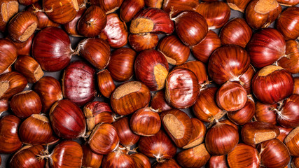 Im Herbst gibt es die leckern Esskastanien mit der stacheligen Schale