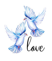 Peace bird, dove, art, water color drawing