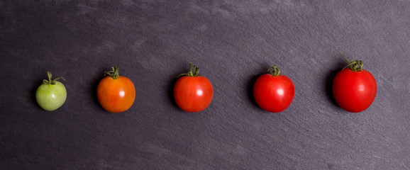  tomato on a black background from green to red.  ripening process