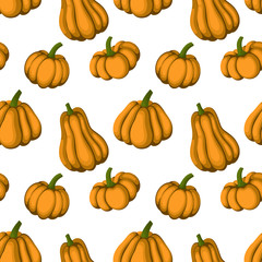 Seamless pattern of different shape and color pumpkin, cartoon style vector illustration isolated on white for autumn decoration