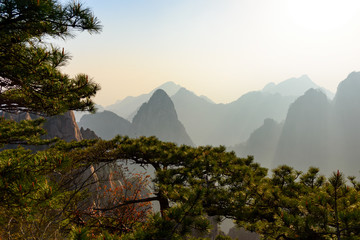Pines and mountains of China