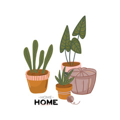 Obraz premium Modern comfy apartment furnished in Hygge style.