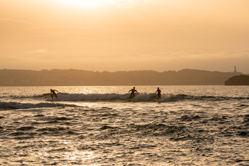 Fototapeta premium Wide image of surfers silhouettes surfing and riding waves at sunset o sunrise