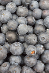 Background of ripe blueberries, close-up