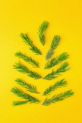 Fir branches in the shape of a Christmas tree on a bright yellow background. New Year minimalistic stylish concept, contrasting colors. Top view, flat lay, place for text.