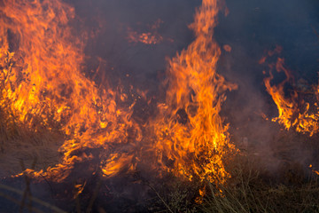 Dry grass burns in a field with smoke and fire.