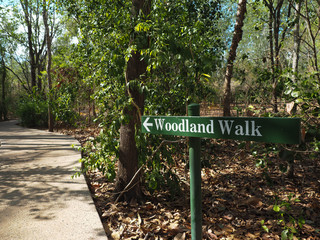 Woodland walk signage