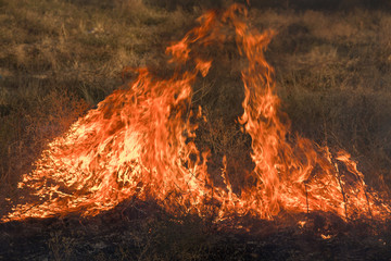 Dry grass burns in a field with smoke and fire.