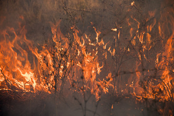 Dry grass burns in a field with smoke and fire.