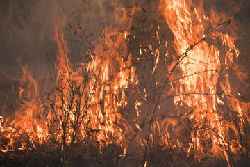 Dry grass burns in a field with smoke and fire.