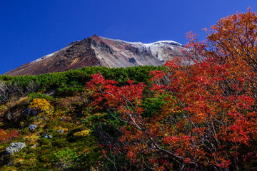 旭岳の紅葉