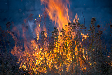 Dry grass burns in a field with smoke and fire.
