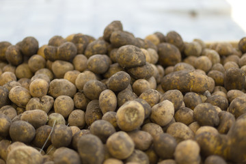 Closeup of fresh potatoes on the supermarket shelf