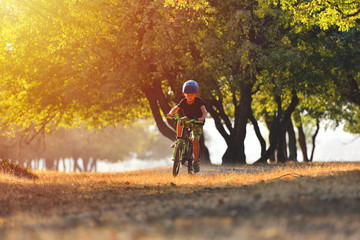 Happy kid boy of 7 years having fun in autumn park with a bicycle on beautiful fall day. Active child wearing bike helmet