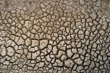 Dry lake bed with natural texture of cracked clay in perspective floor