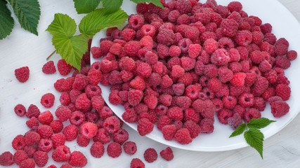 Fresh raspberries