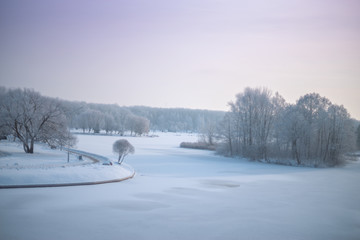 snowy winter forest