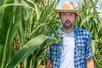 Portrait of handsome corn farmer in cultivated maize field